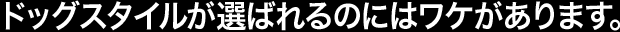 ドッグスタイルが選ばれるのにはワケがあります。